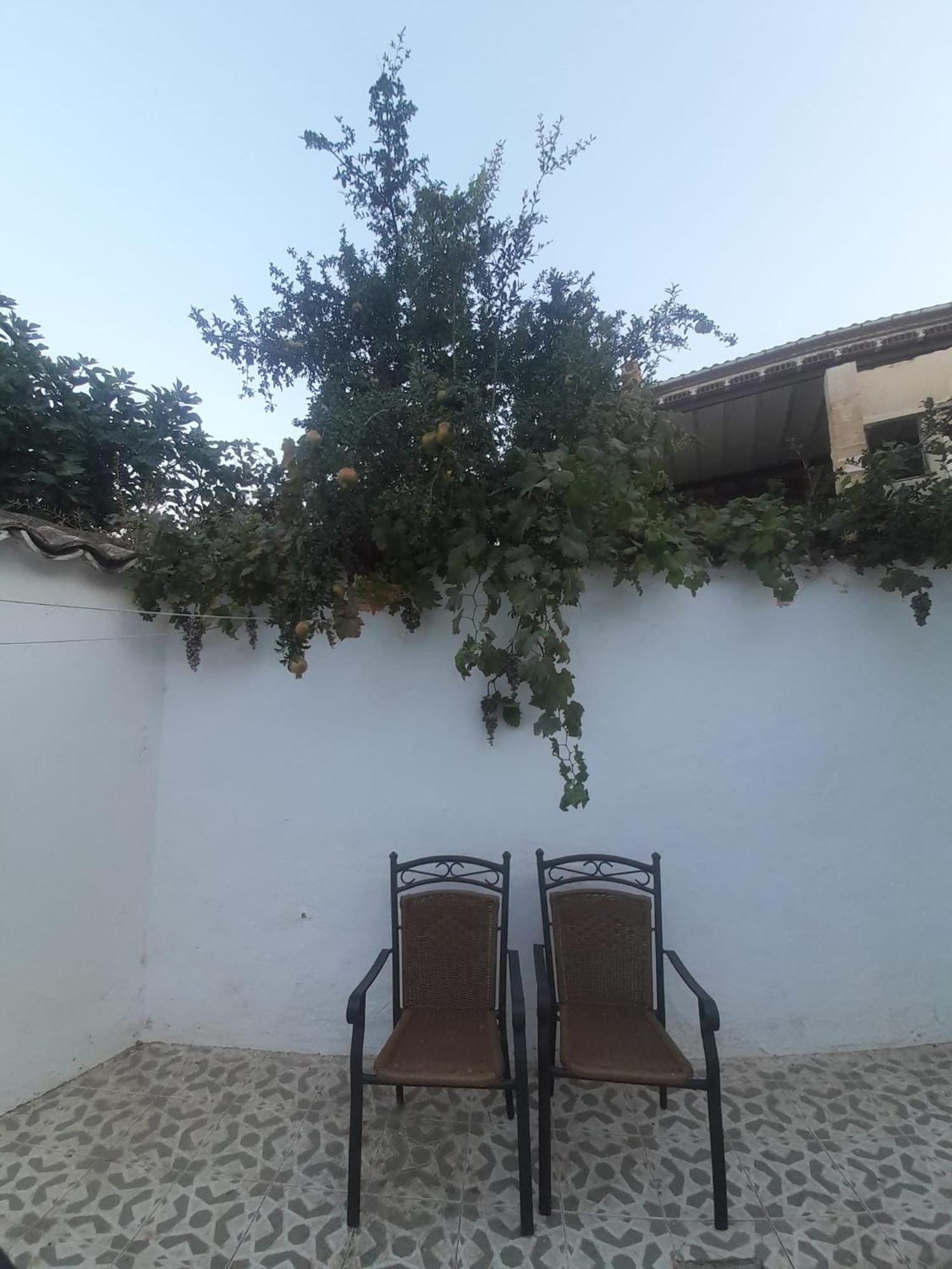 El Molino De Aceite Villa บาเอซา ภายนอก รูปภาพ